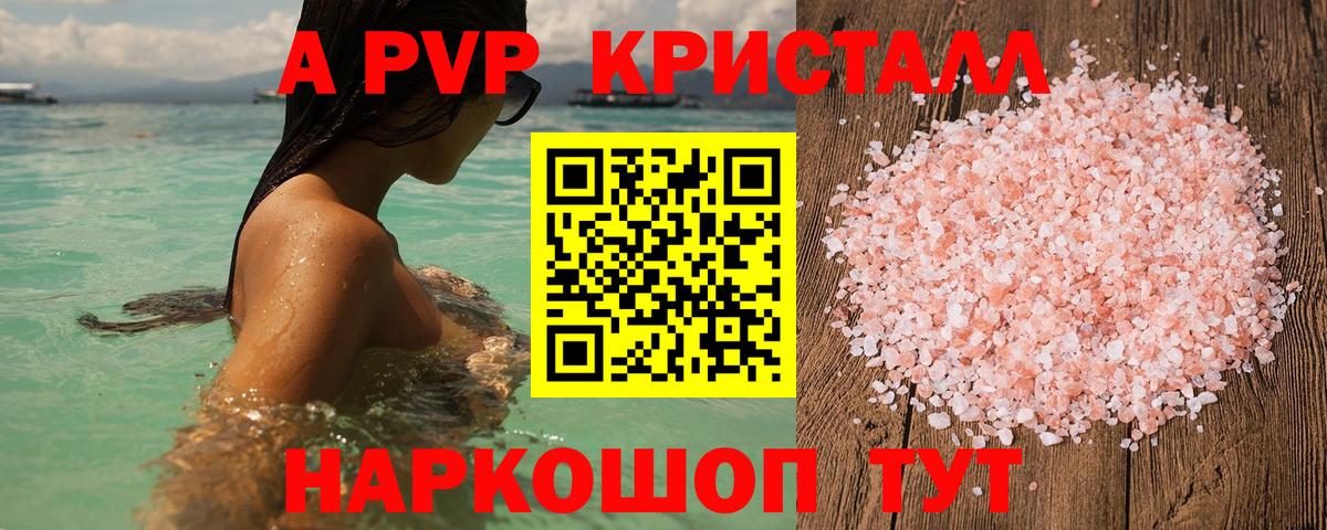 A PVP СК Кузнецк